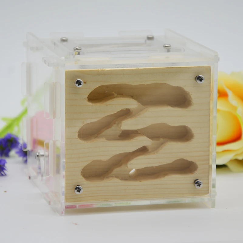 Plaster Ant Nest Acrylic Farm Ants Queen House Insect Cage Anthills Pet Granja De Hormiga Hormiguero Antfarm | Игрушки и хобби