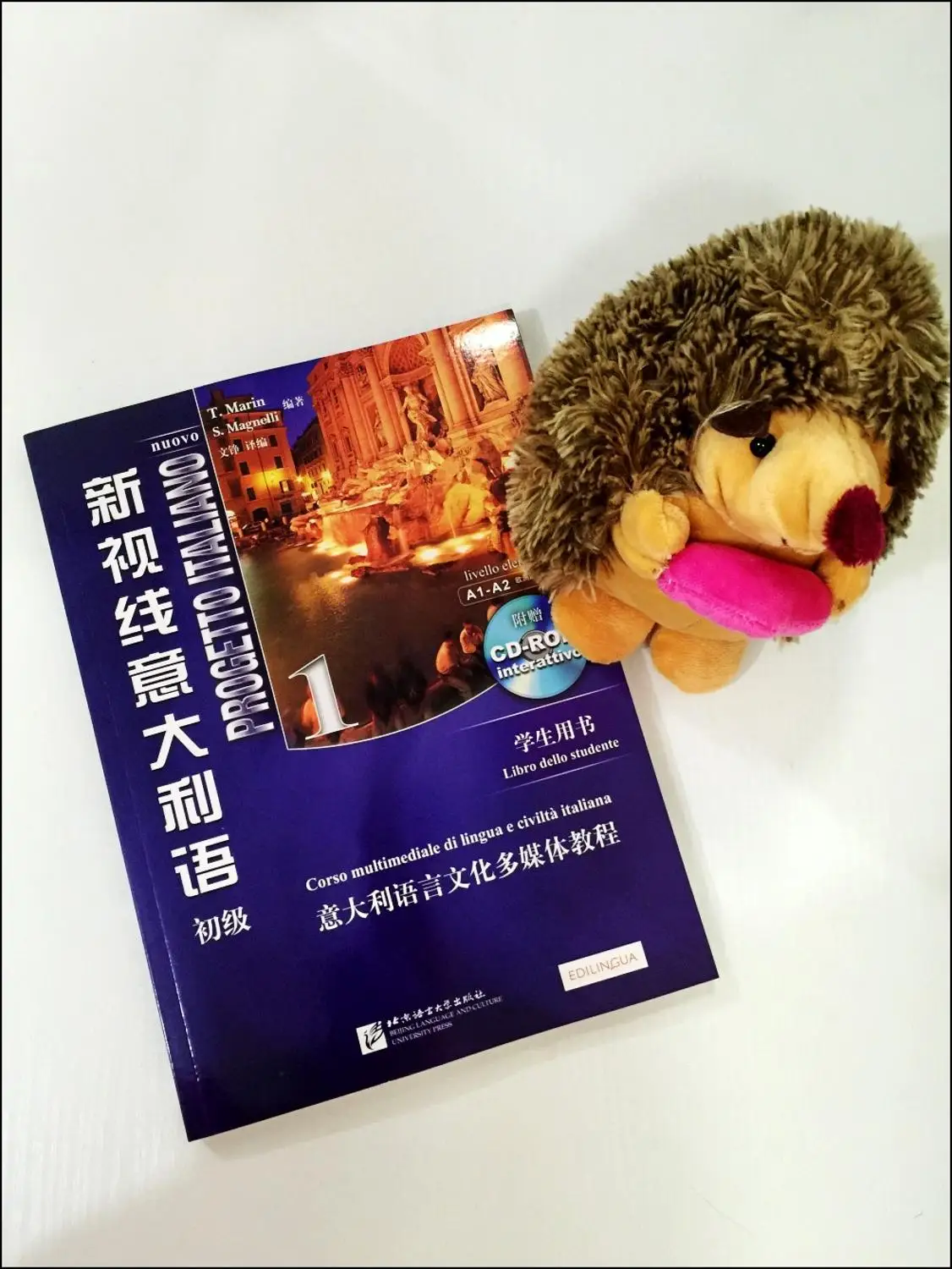 

2 Books Progetto Italiano Book 1 Primary Zero-Start Quick-Form Italian Self-taught Textbook College Italian Textbook + Exercise