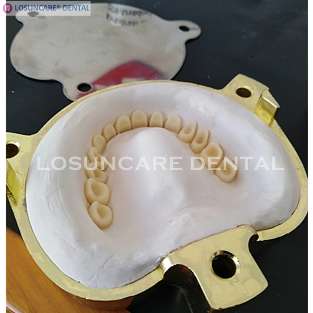 Dental Lab New Flasks Brass Material for Pressure Polymerizer Copper | Красота и здоровье