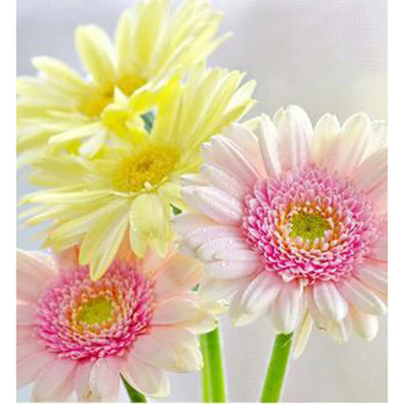 

5D DIY Diamond Painting Square/Round Diamond Flower Painting Yellow Daisy Beauty Picture Cross Stitch Decoration Artwork TX834