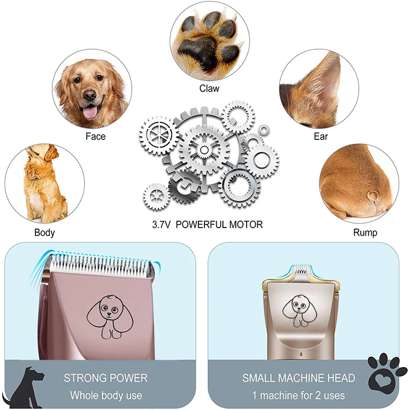 

Pet Products