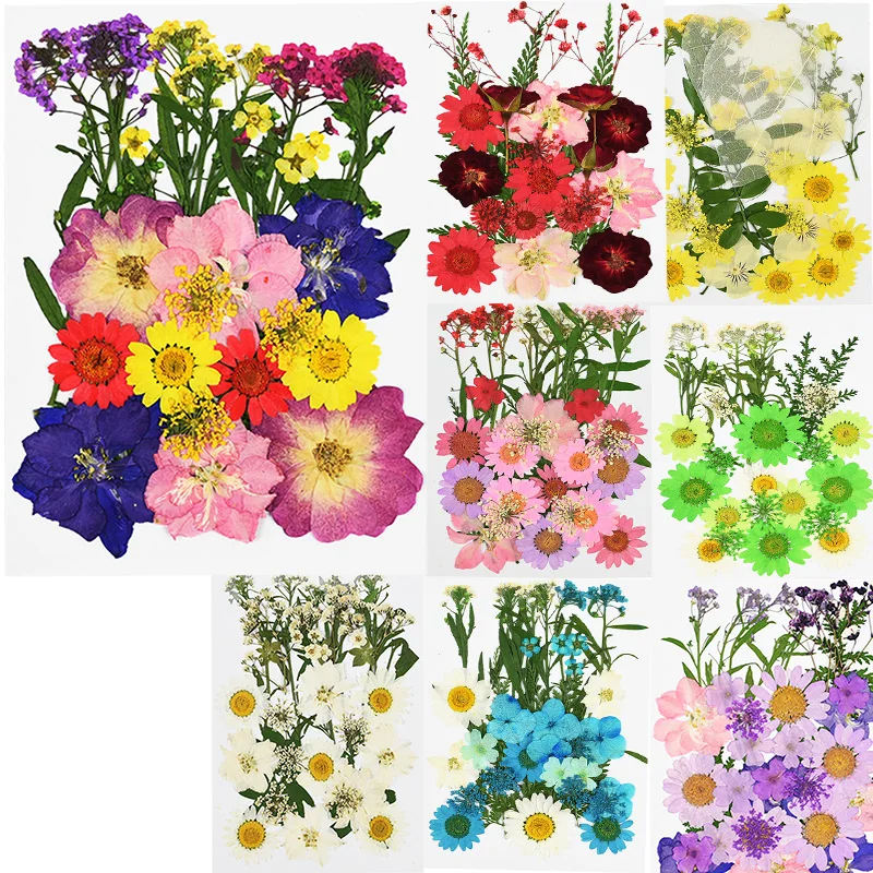

Pressed Flowers Small Dried Flowers Preserved Flower DIY Scrapbooking Dry Flower Frame Case Wall Home Mini Flores Decoration