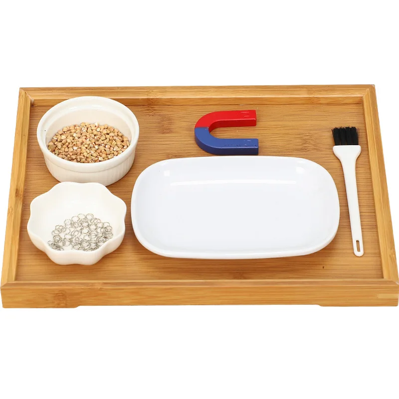 

Early Childhood Education Montessori Teaching Aids Children's Intelligence Development Magnet Magnets Daily Life Science Toys