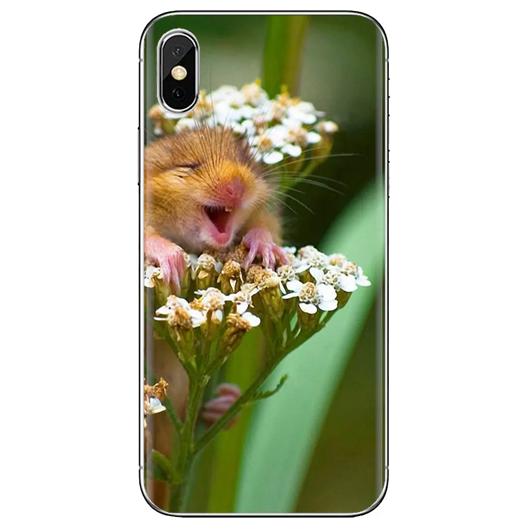 Бесплатный силиконовый чехол для телефона Xiaomi Redmi 2 S2 3 3S 4 4A 5 5A 6 6A 7A 9 9T 9C 9A Pro Pocophone F1