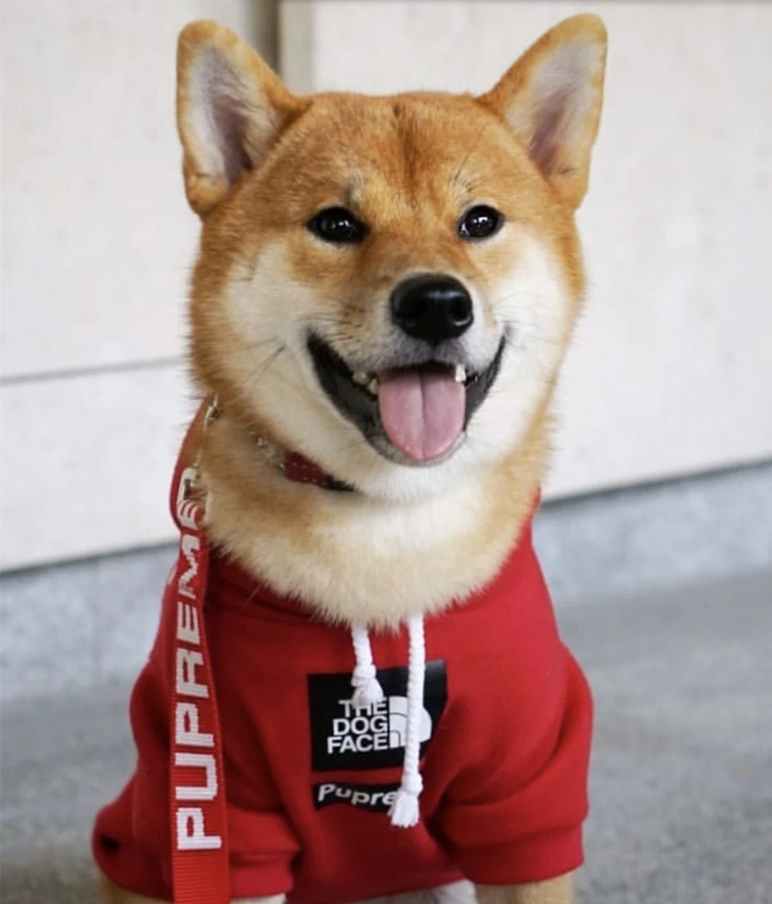 FATHIN теплая толстовка Adidog французская одежда для бульдога собака спорт ретро-худи одежда для домашних животных S-XXL