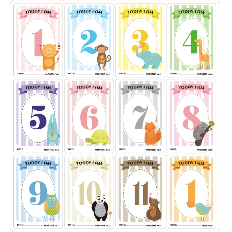 

12 Sheet Baby Monthly Milestone Cards Birth to 12 Months Photo Moment Cards Unisex Boys Girls Photo Keepsake Landmark