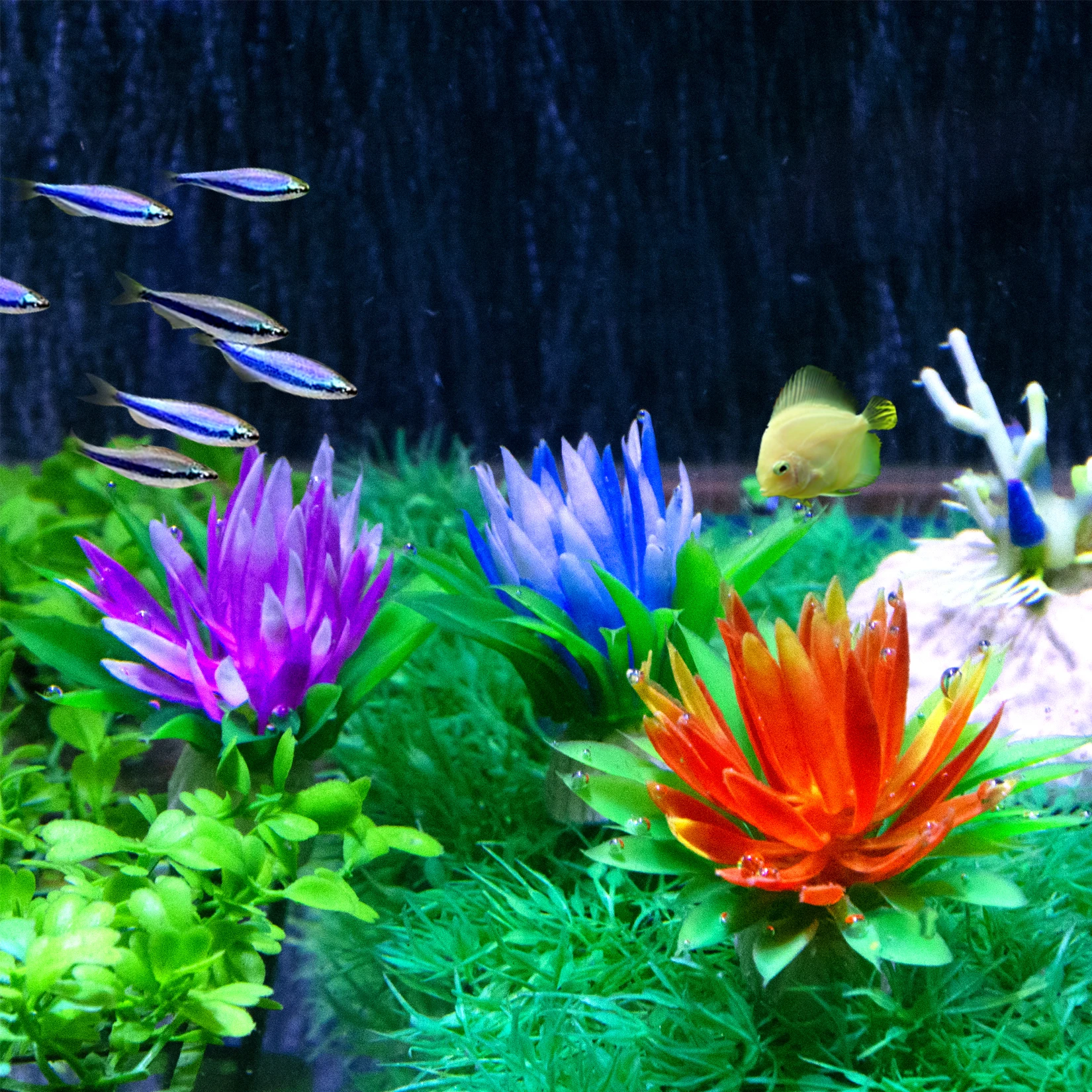 

5pcs Mini Decorative Simulated Aquatic Weed Aquarium Accessories Fish Tank Decorations Acuario Tools Aquario Ornaments Plants
