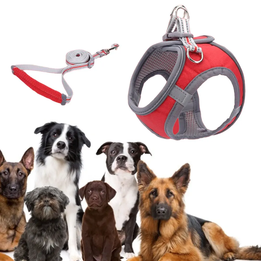 

Nylon Reflective Dog Cat Harness Vest Printed French Bulldog Harness Puppy Small Medium Dogs Cats Harness For Chihuahua Walking