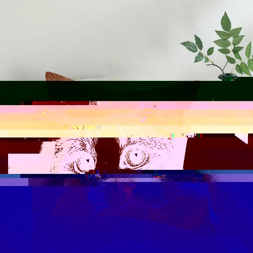 

Peach Skin Hug Pillowcase Cute Cartoon Animal Hug Pillowcase Pillowcase Peach 45*45CM Modern Home Skin Single-sided Sofa Z5R6