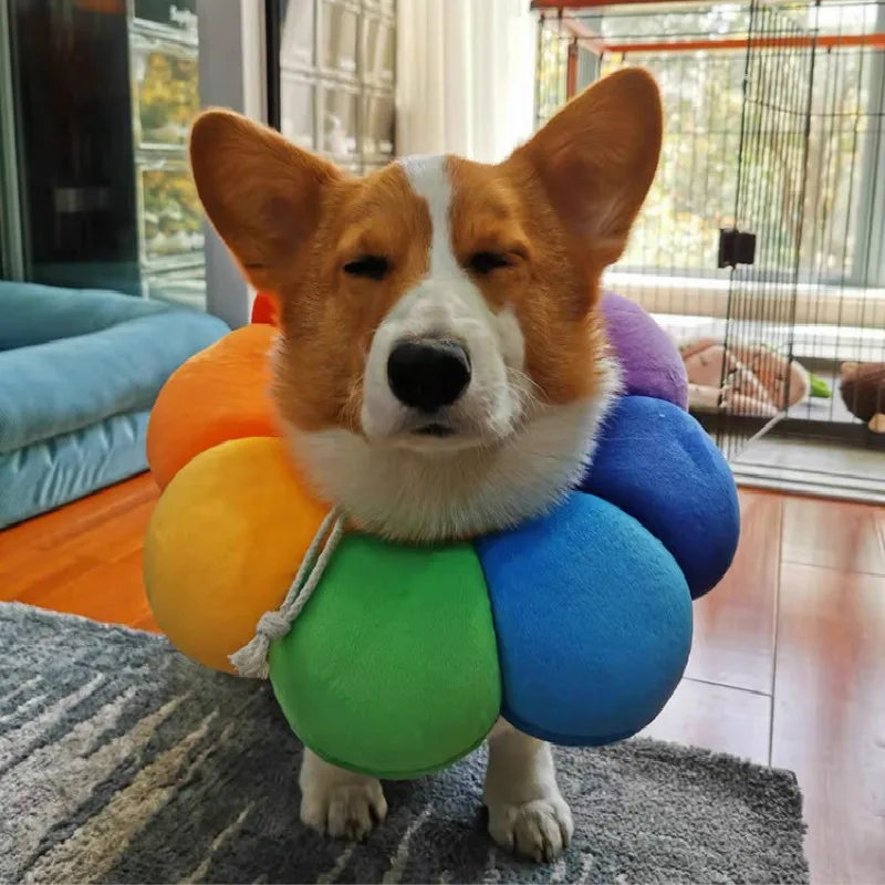 Модная игрушка для домашних животных маленького фардоу корги собака/кошка