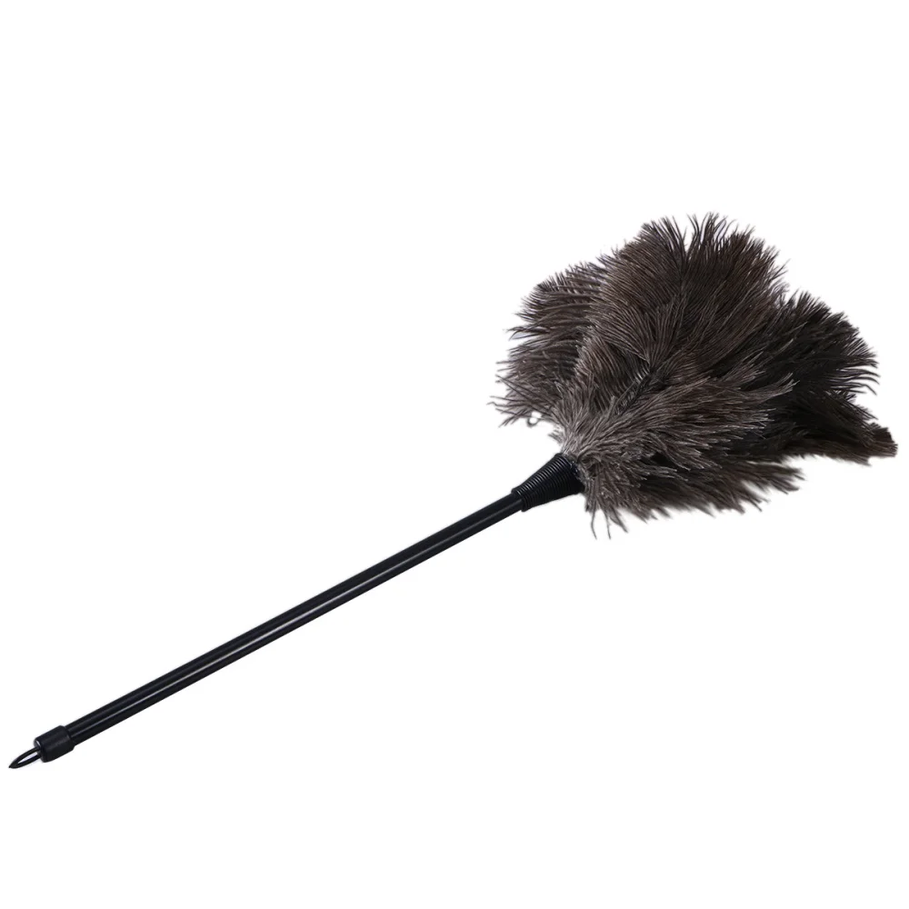 

BESTOMZ Duster Feather Dusters with Long Handle Cleaning Brush Tool