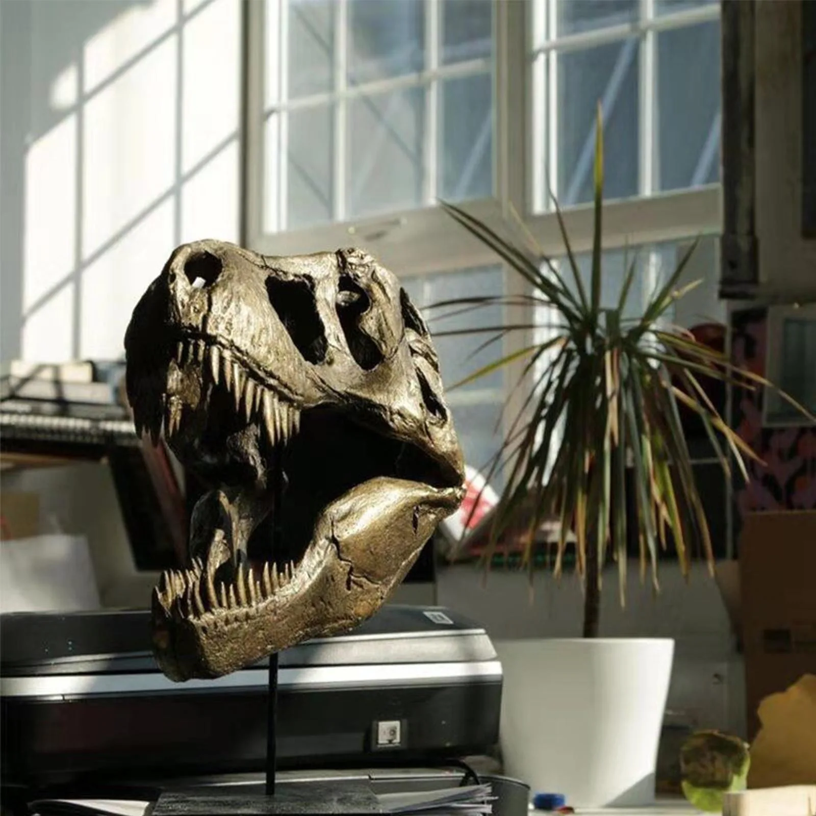 

NEW Crafts Arts Crafts 1/12 Tyrannosaurus Rex Dinosaur Skull Handicrafts Resin Fossil Simulation Skull Model For Collectibles