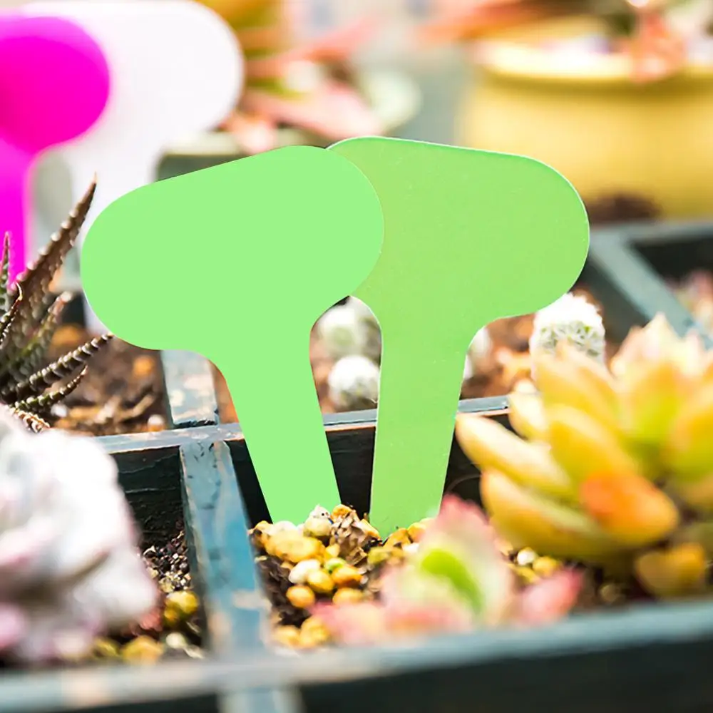 100 шт. Т образные пластиковые таблички для выращивания растений|Маркеры растений|