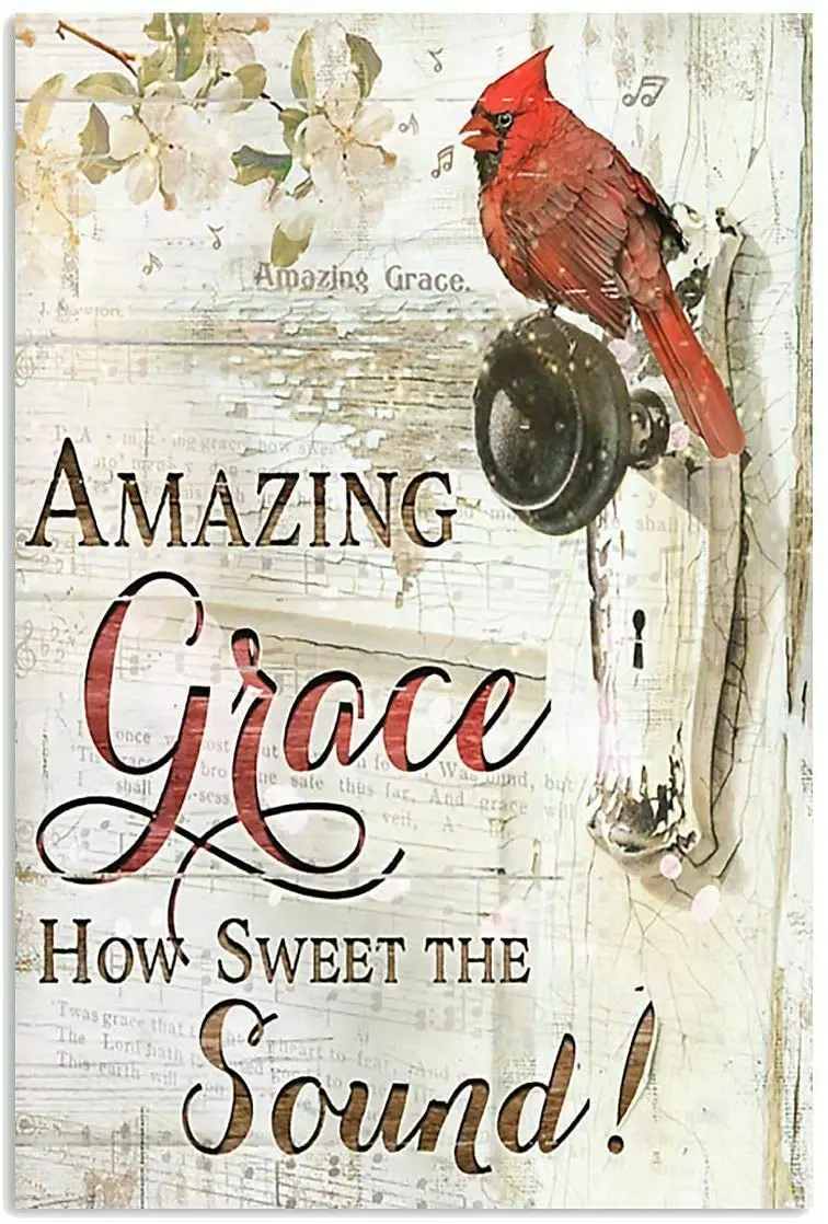 

Tin Sign Cardinal Amazing Grace Vintage Chic Art Wall Decoration for Store Bar Home Cafe Farm Garage Cabin or Club 12" X 8"