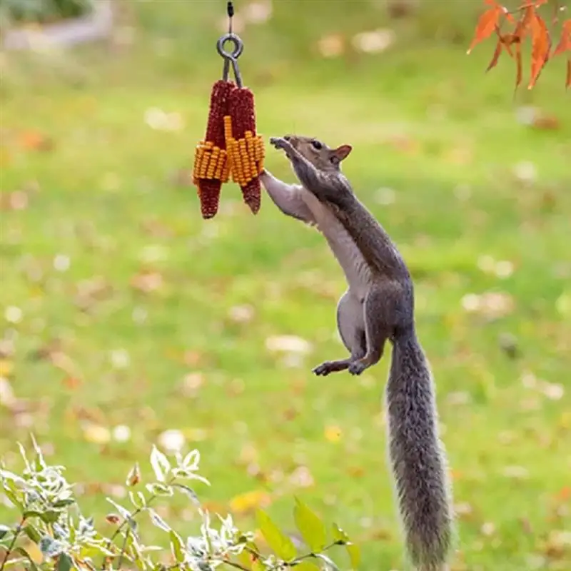 Кормушка уличная Для белки держатель для кормушки кукурузы кормушка животных