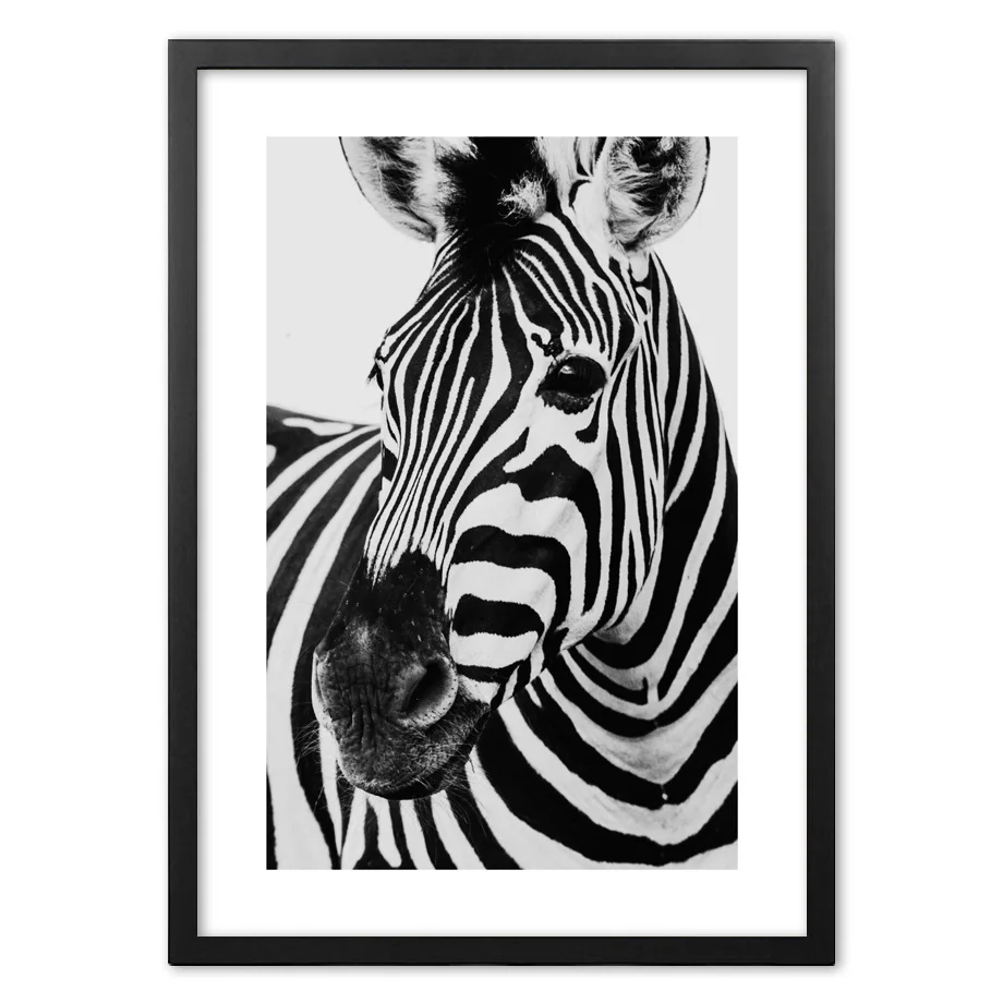 

Black White Zebra Photography Wall Art Paper Painting Landscape Wall Pictures For Living Room Decor