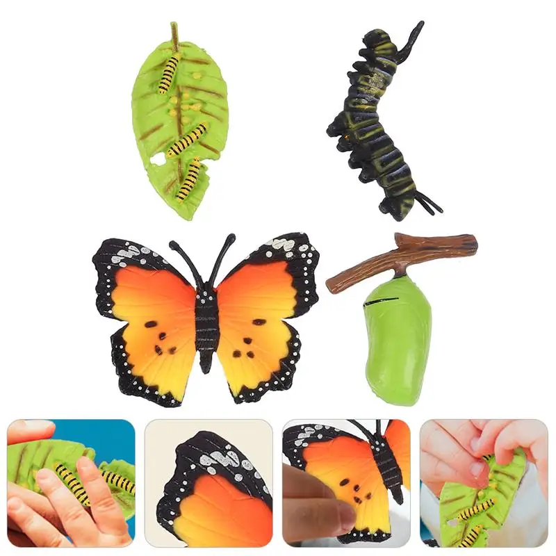 

3 Sets Realistic Insect Growth Models Butterflies Display Cognitive Toys