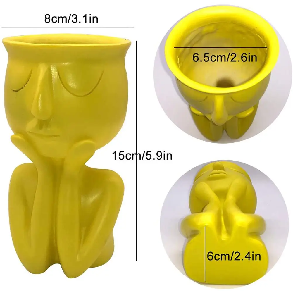 Творческий головы Уход за кожей лица цветочных растений смолы сочные ящик для