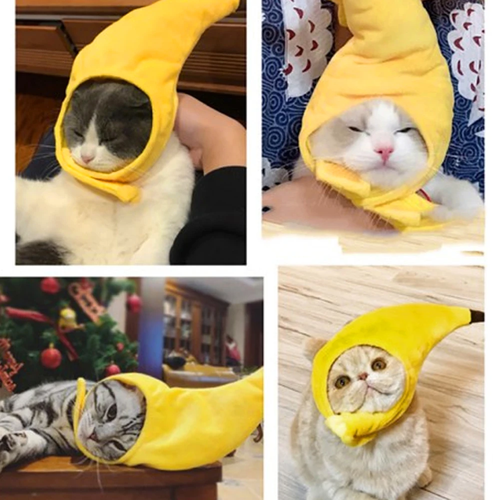 ПЭТ Забавные головные уборы милый костюм банана Кепки с рисунком &quotПодсолнух&quot
