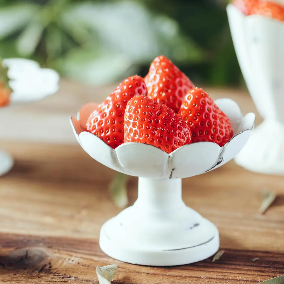

Retro Food Photography Props Small Cake Tray Literary Wedding Decoration Fruit Plate