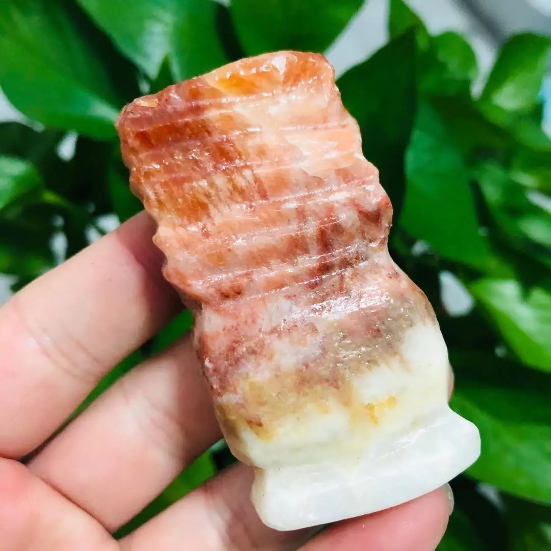 

Натуральная свинина, искусственная кусочка для заживления, 1 шт.