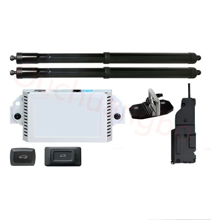 

Ouchuangbo Smart Auto Electric Tail Gate Lift for Insignia 2017-2018 Remote Control Drive Seat Button Control