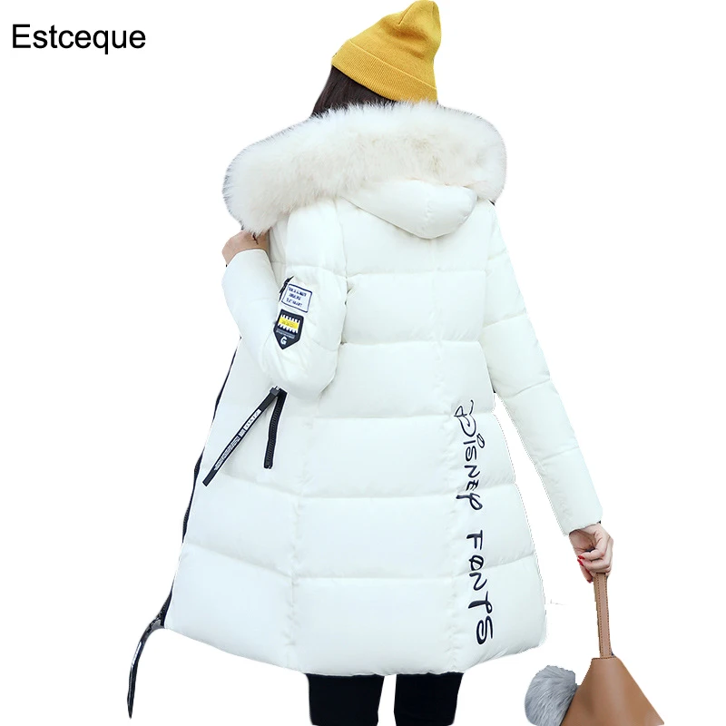 2020 женские зимние куртки и пальто Корейская тонкая утолщенная куртка пузырь