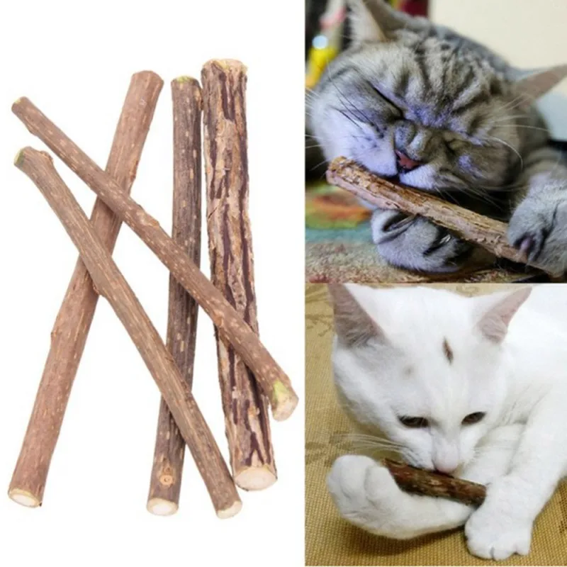 

5pcs Pet Cat Kitten Wood Pure Natural Catnip Pet Cat Molar Toothpaste Stick Cat Cleaning Teeth Teeth Cat Snacks Pet Supplies set