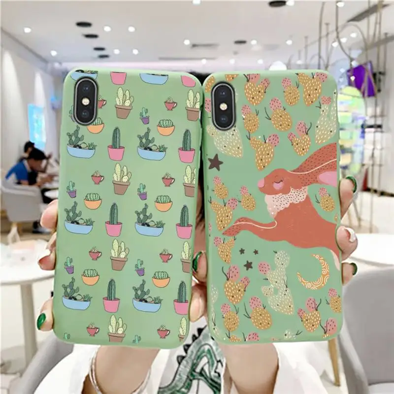 

Funny Cartoon Cactus Phone Case for iPhone 11 12 13 mini pro XS MAX 8 7 6 6S Plus X 5S SE 2020 XR case