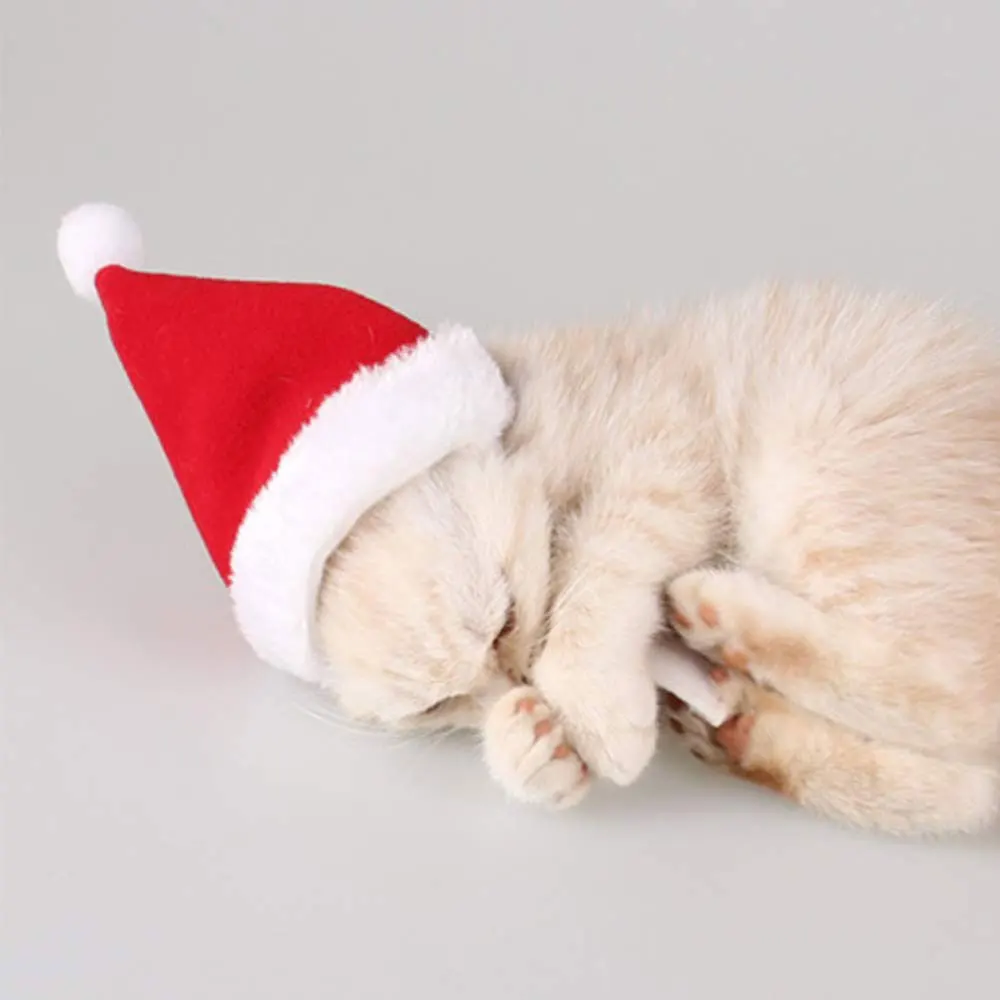 1pcs Pet Christmas Hat Santa Claus for Cats Dogs Puppy Xmas Decoration Festival Party Dog Small Care Toys | Дом и сад