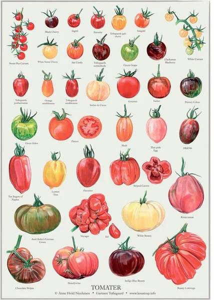 Винтажные различные Томаты металлический жестяной знак 8x12 дюймов ретро домашняя