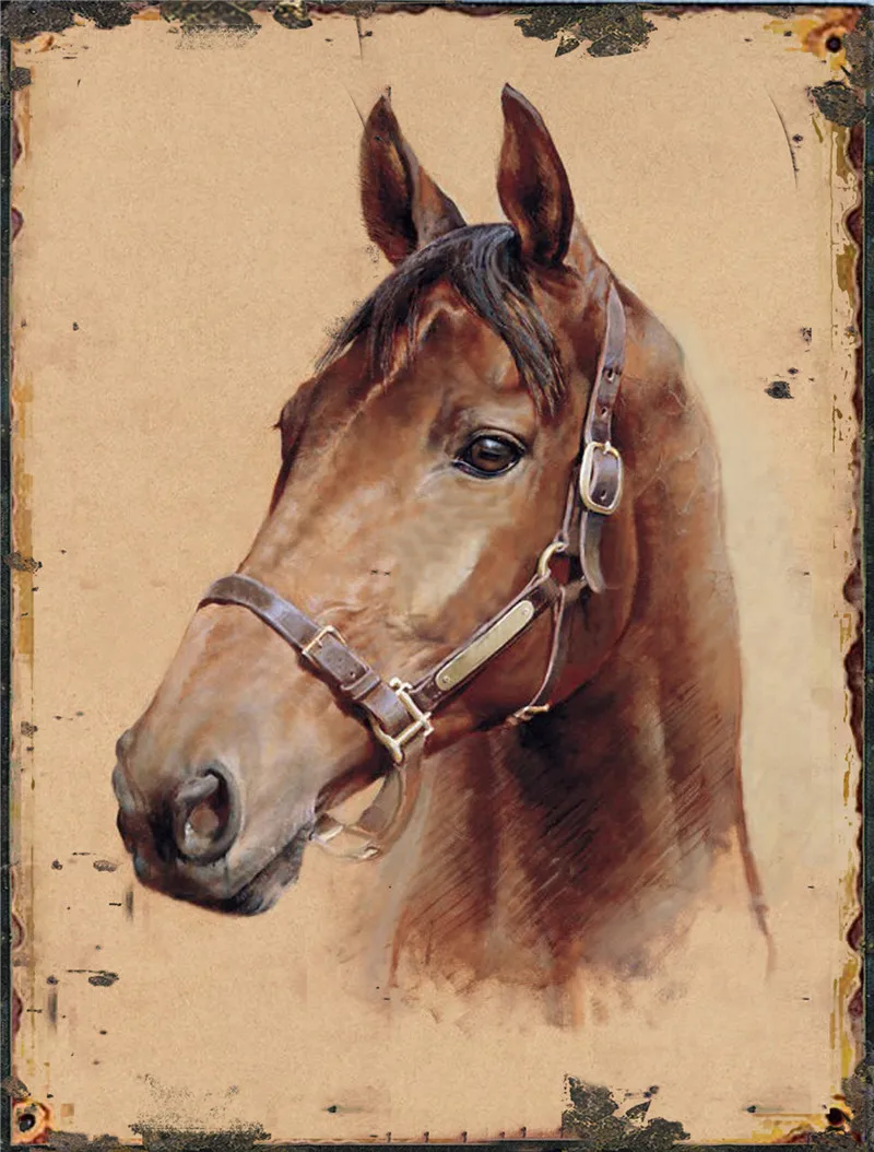 

Horses Bathroom Decor Chickens Posters on the Wall Stickers Cows Garden Decoration Out Door Sign Vintage Metal Plate Home Bar