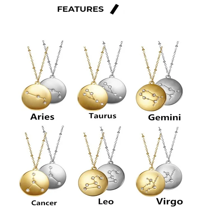 

2021 New Fashion 12 Constellations Bohemian Necklace Stainless Steel Personalized Commemorative Necklace For Women/Men