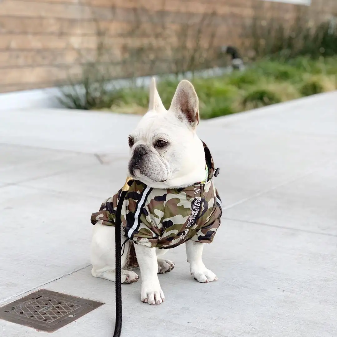 Camouflage Камуфляжный плащ Чихуахуа Одежда для собак Одежда для маленьких собак Французский бульдог куртка костюм для мопса Прямая поставка PC1365 - Цвет: Camouflage