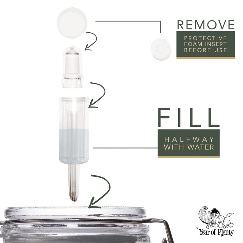 

WSFS Hot Set of 12 - Hydrolocks for Fermenting, Brewing, Beer, Wine, Sauerkraut, Kimchi and Other Fermentation