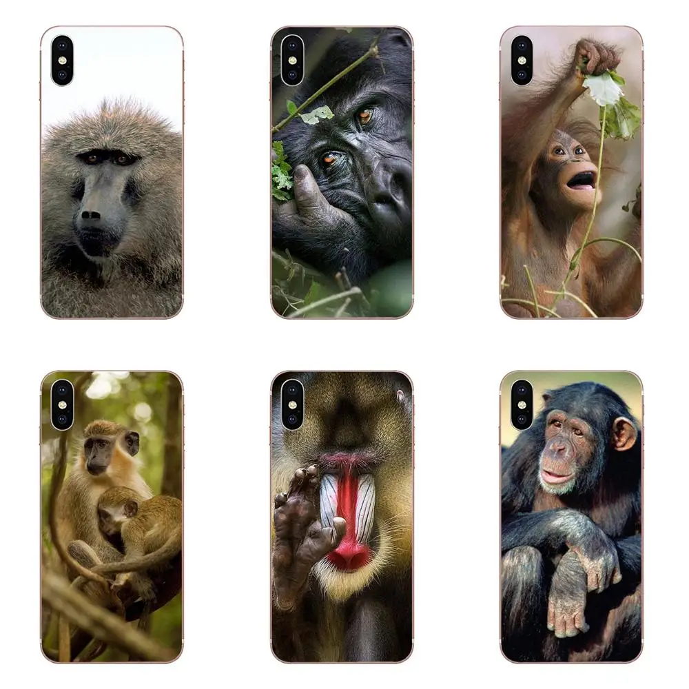 Чехлы из ТПУ для Galaxy J1 J2 J3 J330 J4 J5 J6 J7 J730 J8 2015 2016 2017 2018 mini Pro The Monkey оригинал | Мобильные