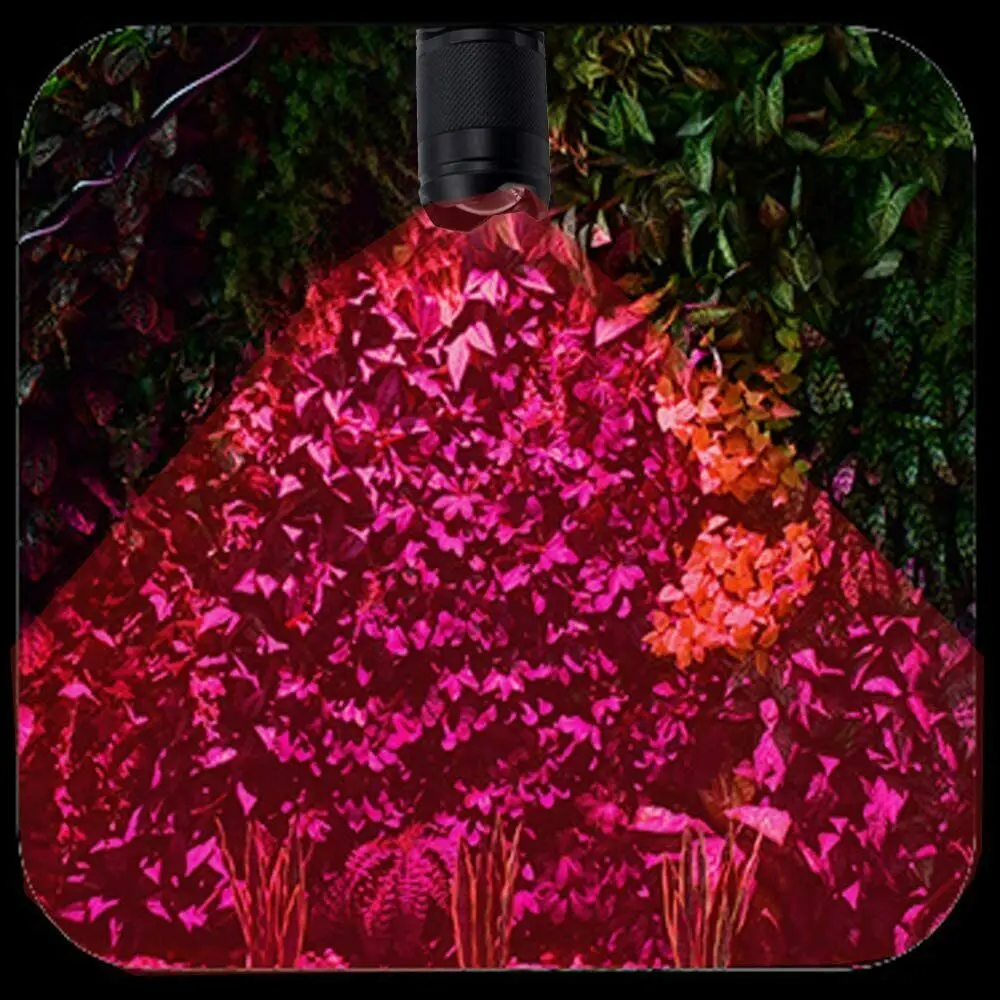 Светодисветодиодный D5 красный луч нм вспышка зеленая синяя лампа фонарь против