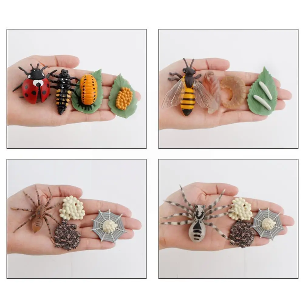 

Wooden Animal Life Cycle Board Children Toys Montessori Teaching Plant Cycle Model Growth Science Life Toys Educational Aid M2b3