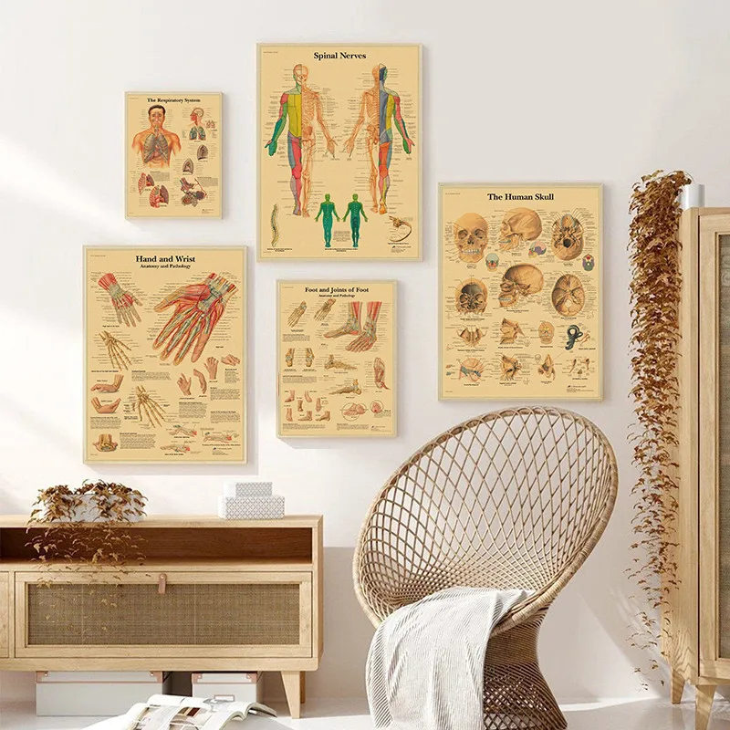 Плакат на стену из крафт-бумаги с изображением анатомии человека