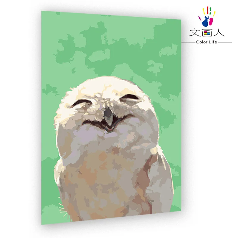 Масляные картины по номерам сделай сам с наборами ястреб со смайликом милый