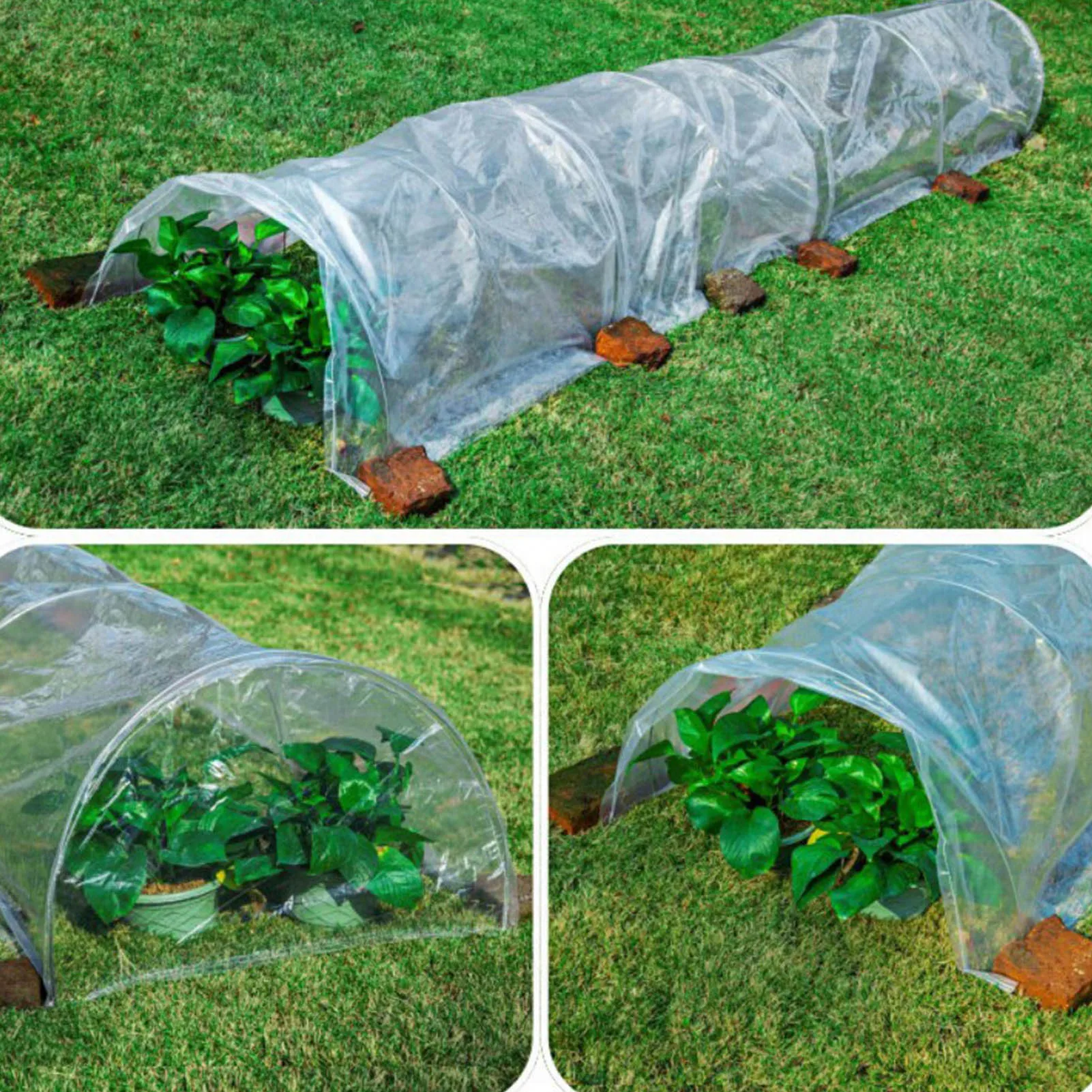 

5m Transparent Garden Tunnel Greenhouse Plants Grow House with Steel Frame Hothouse Cold-proof Arched Plant Warm Room