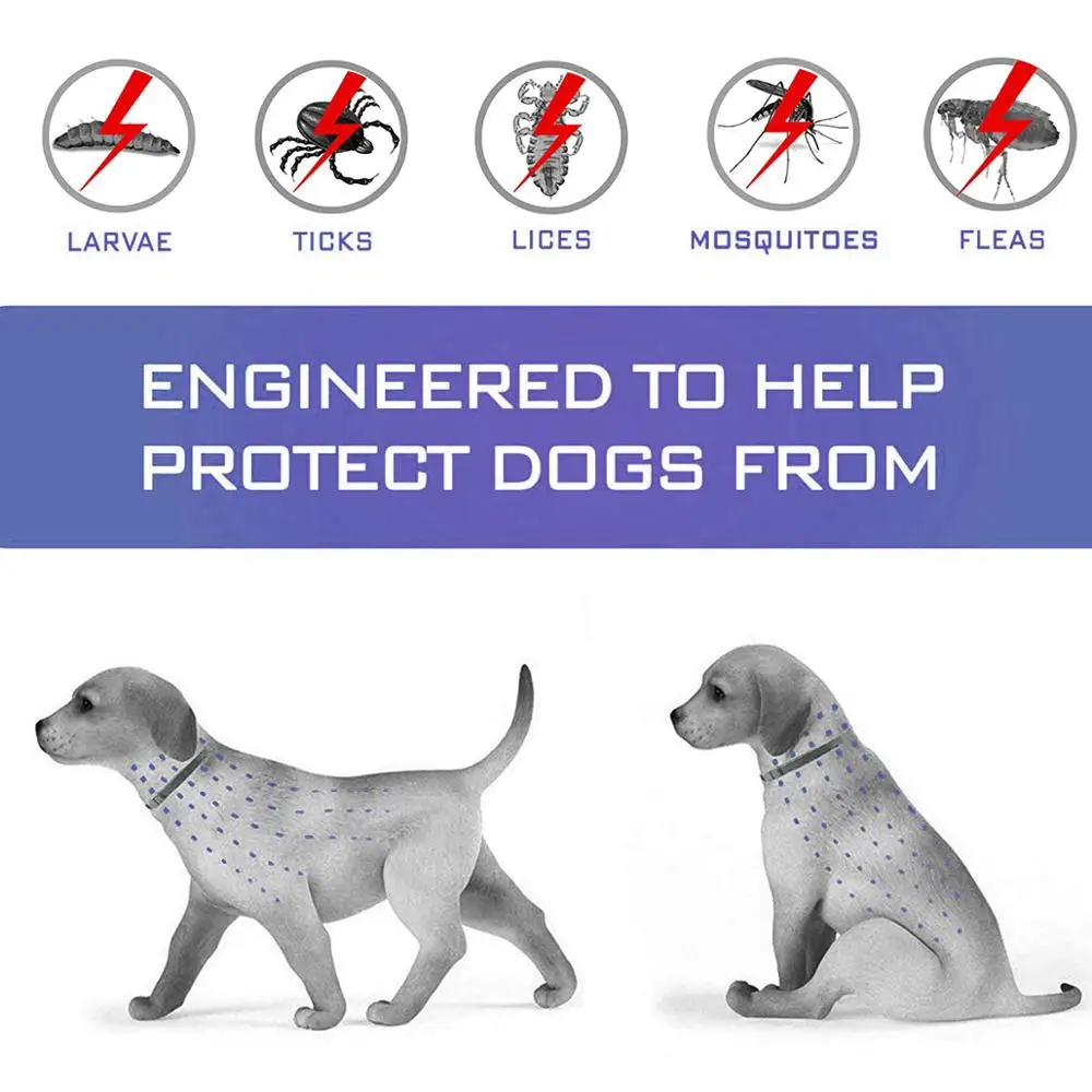 DEWEL Pet Dog Collar Cat Anti Flea Pets Accessories for Waterproof 8 Months Protection 63CM Mosquitoes | Дом и сад