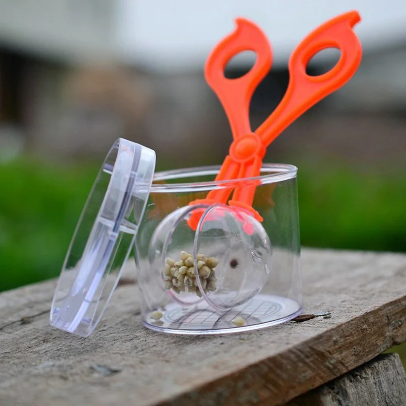 Kit de juguete de exploraci&oacute;n de naturaleza para ni&ntilde;os, herramienta de estudio de plantas e insectos, tijeras de pl&aacute;stico, pinzas de sujeci&oacute;n, cabeza redonda, Tijera con pinzas-4
