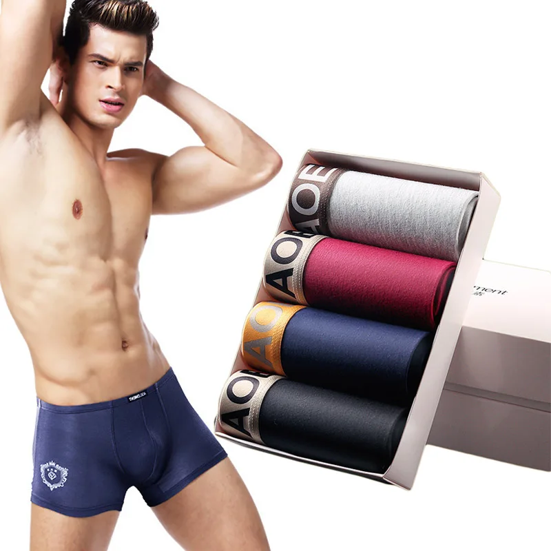 4 шт./лот мужские боксеры из хлопка Мужские дышащие брендовые трусы нижнее белье