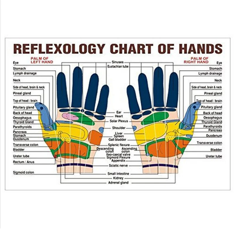 Кольца с шипами для сенсорного массажа рук традиционные обезболивающие кольца