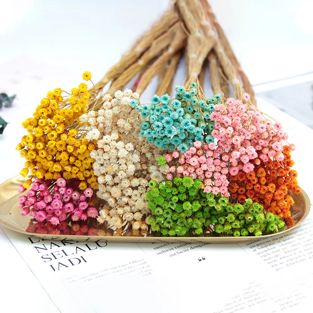 

50pcs Real Happy Flower Natural Dried Flowers Bouquet Dry Flowers Press Mini Decorative Wedding Decoration ​Photo Backdrop Decor