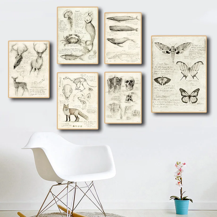 Плакат-бабочка морские дикие животные скелет научный плакат лаборатория комната