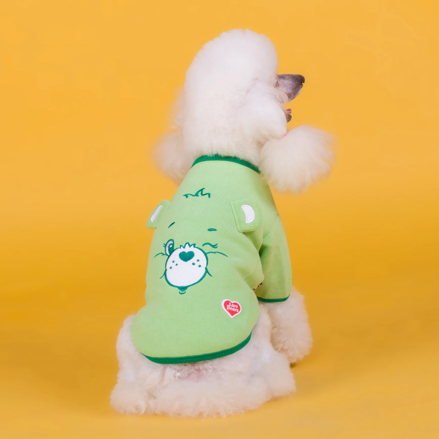 Жилеты для домашних питомцев с принтом зеленого и желтого цветов новейшая