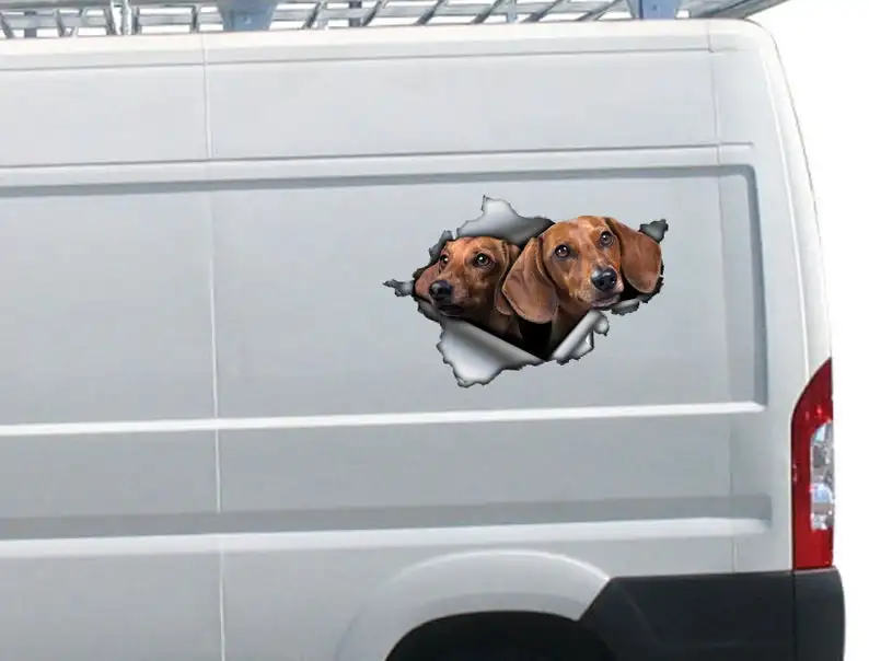 

2021 Tan dachshund car decal ,Tan dachshund magnet, dachshund sticker, funny car decal