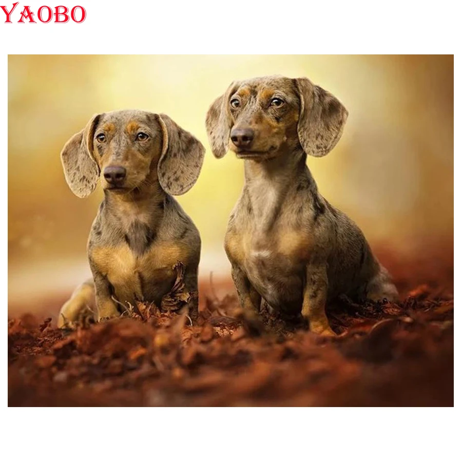 

Full Square Round 5D DIY Diamond Painting Cross Stitch Professor Dachshund Patterns bead Embroidery Diamond Mosaic Home Decor